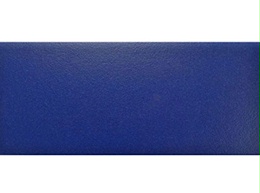 转身区深蓝毛面砖，规格：244×119